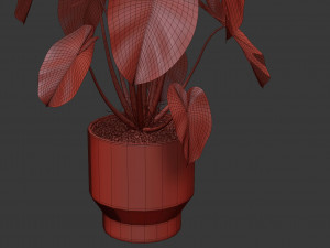 Plants collection 528 3D Model