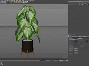 Plants collection 529 Modèle 3D