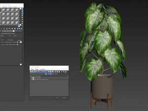 Plants collection 529 Modèle 3D