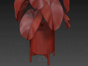 Plants collection 529 Modèle 3D