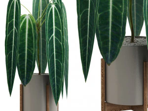 Коллекция растений 530 3D Модель