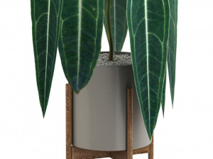 Plants collection 530 Model 3D
