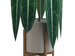 Plants collection 530 3D Model