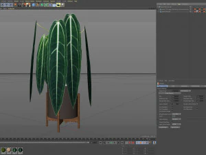 Plants collection 530 3D Model