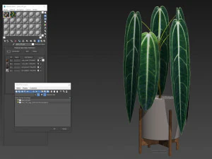 Plants collection 530 3D Model