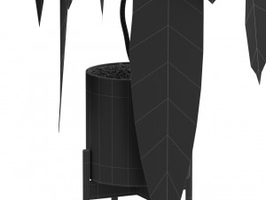 Plants collection 531 3D 模型