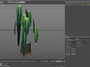 Plants collection 531 3D 模型