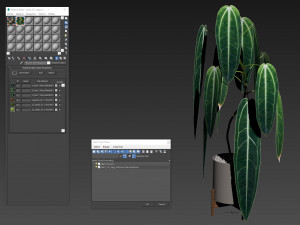 Plants collection 531 3D 模型