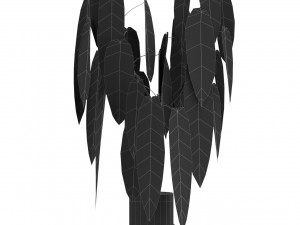 Plants collection 532 3D Model