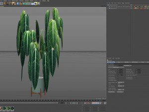 Plants collection 532 3D Model