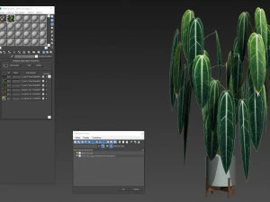 Plants collection 532 3D Model