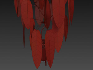 Plants collection 532 3D Model