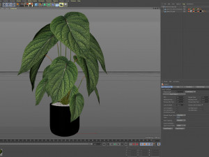 Plants collection 533 Modelo 3D