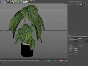 Collezione piante 533 Modello 3D