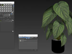 Collezione piante 533 Modello 3D