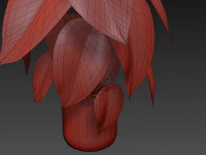 Collezione piante 533 Modello 3D