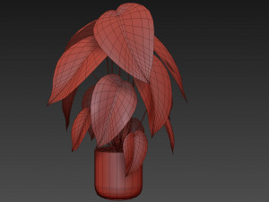 Plants collection 533 Modelo 3D