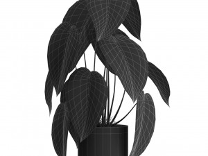 Plants collection 534 3D Model