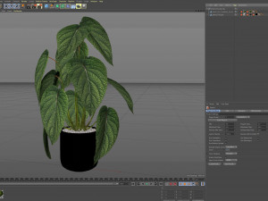 Plants collection 534 3D Model