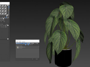 Plants collection 534 3D Model
