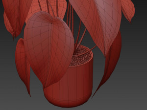 Plants collection 534 3D Model