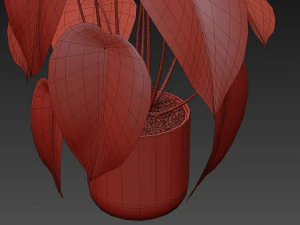 Plants collection 534 3D Model