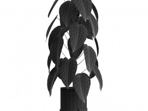 Plants collection 535 3D Модель