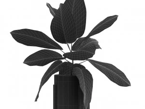 Pflanzensammlung 536 3D Modell