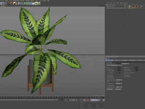 Plants collection 536 Modèle 3D