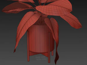 Pflanzensammlung 536 3D Modell