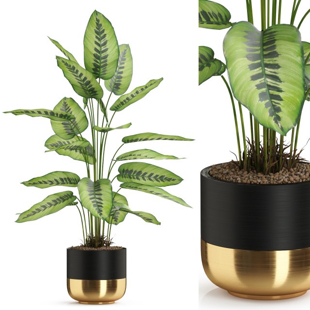 Plants collection 537 3D 模型 .c4d .max .obj .3ds .fbx .stl .blend 