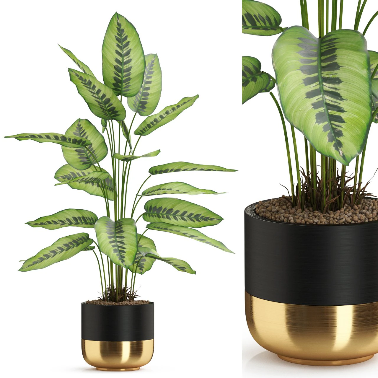 Plants collection 537 3D Model .c4d .max .obj .3ds .fbx .stl .blend 