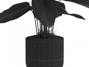 Plants collection 537 3D 模型