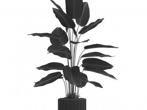 Plants collection 537 3D 模型
