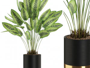 पौधों का संग्रह 538 3D मॉडल