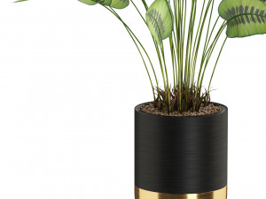 Plants collection 538 Modelo 3D