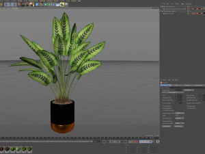 Plants collection 538 3D Model