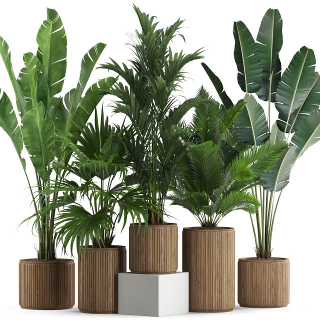 Plants collection 539 3D 模型 .c4d .max .obj .3ds .fbx .stl .blend
