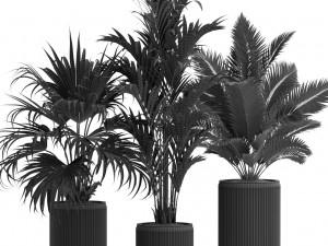 Plants collection 539 3D 模型