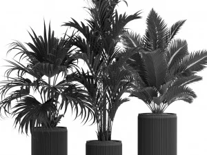 Plants collection 539 3D Model