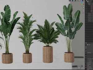 Plants collection 539 3D 模型