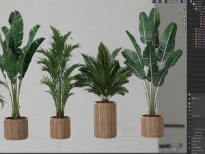 Plants collection 539 3D Model
