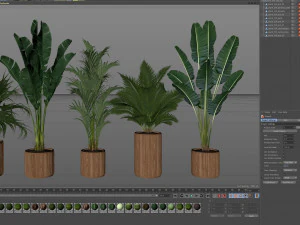 Plants collection 539 3D Model