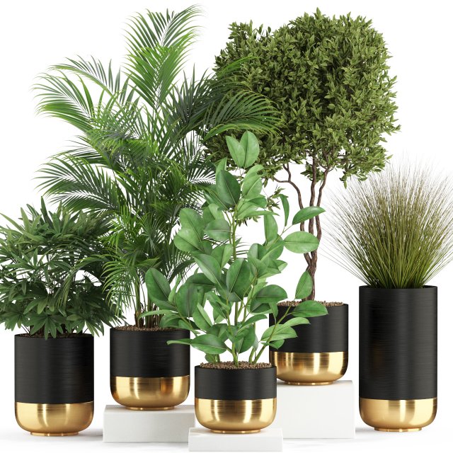 Plants collection 540 3D Model .c4d .max .obj .3ds .fbx .stl .blend 