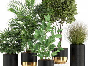 Plants collection 540 Modèle 3D