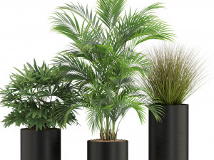 Plants collection 540 3D Model