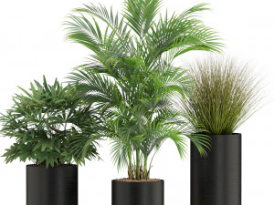 Plants collection 540 3D Model