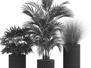 Plants collection 540 3D Model