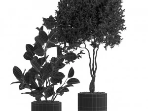 Plants collection 540 3D Model