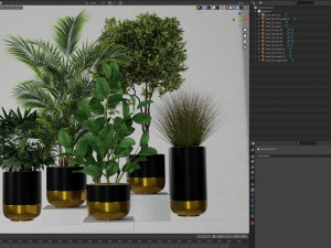 Plants collection 540 3D Model